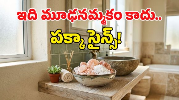 బాత్‌రూమ్ మూలలో ఉప్పు గిన్నె ఎందుకు పెడతారో తెలుసా? దీని వెనుకున్న రహస్యం తెలిస్తే ఆశ్చర్యపోతారు!