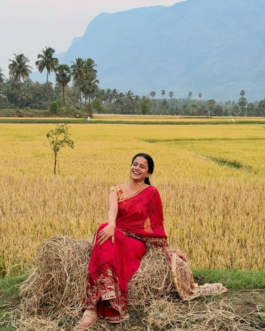 Vishnavi Chaithanya : వరి చేను గట్టుపై ఎర్రని చీరలో వైష్ణవి చైతన్య.. ఫోటోలు వైరల్..