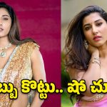 Vishnu Priya: విష్ణుప్రియా అసలు స్వరూపం ఇదేనా.. ఐటి యాక్ట్ ఉచ్చులో బుల్లితెర బ్యూటీ!