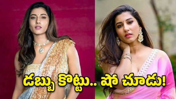 Vishnu Priya: విష్ణుప్రియా అసలు స్వరూపం ఇదేనా.. ఐటి యాక్ట్ ఉచ్చులో బుల్లితెర బ్యూటీ!