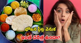 భోజన ప్లేట్లు గుండ్రంగానే ఎందుకు? ఎప్పుడైనా ఆలోచించారా? దీని వెనుక మిస్టరీ ఇదే!