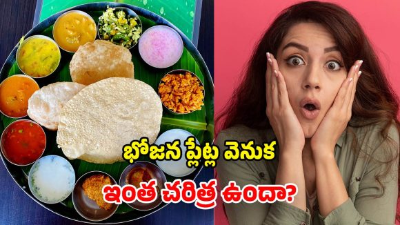 భోజన ప్లేట్లు గుండ్రంగానే ఎందుకు? ఎప్పుడైనా ఆలోచించారా? దీని వెనుక మిస్టరీ ఇదే!