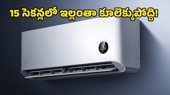 వేసవిలో చల్లగా.. చలికాలంలో వెచ్చగా.. మల్టిపర్పస్ ఏసీ అంటే ఇదే, ధర కూడా తక్కువే!