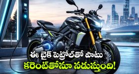 మాంసం ప్రియులకు షాక్.. తెలంగాణలో చికెన్ బంద్.. నేటి నుంచి మూతపడనున్న 50 వేల షాపులు!