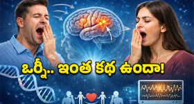 Yawning: ఆవలింతలు ఒకరి నుంచి ఒకరికి ఎందుకు వస్తాయి? దీని వెనుకున్న 'షాకింగ్' సైన్స్!