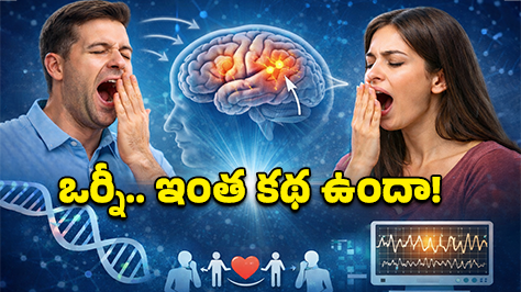 Yawning: ఆవలింతలు ఒకరి నుంచి ఒకరికి ఎందుకు వస్తాయి? దీని వెనుకున్న ‘షాకింగ్’ సైన్స్!