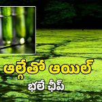 చెరువుల్లోని నాచుతో బయో ఫ్యూయల్.. పెట్రోల్, డీజిల్ కంటే ఛీప్!
