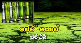 నిరుద్యోగులకు తెలంగాణ సర్కార్ గుడ్ న్యూస్..?