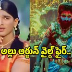 Allu Arjun: ‘గంగోత్రి’లో పరికిణి వేసుకుంటే ట్రోల్ చేశారు.. ‘పుష్ప 2’లో చీరతో నేషనల్ అవార్డ్..