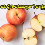 ఆపిల్స్ కొంటున్నారా? రుచికరమైన, తాజా ఆపిల్స్‌ను గుర్తించడానికి బెస్ట్ టిప్స్ ఇవే !