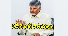 సైలెంట్ గా పెళ్లి చేసుకొని షాక్ ఇచ్చిన మెహ్రీన్ .. వైరల్ అవుతున్న పెళ్లి ఫోటోలు!