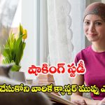 ఇంకా పెళ్లి కాలేదా? అయితే ఈ రీసెర్చ్ రిపోర్ట్ మీ కోసమే.. క్యాన్సర్ రిస్క్‌పై సంచలన నిజాలు
