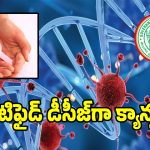ఇన్నాళ్లకు మేలుకొన్న రాష్ట్ర వైద్యారోగ్య శాఖ.. జీవో విడుదల చేసిన ప్రభుత్వం
