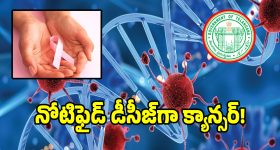 ఇన్నాళ్లకు మేలుకొన్న రాష్ట్ర వైద్యారోగ్య శాఖ.. జీవో విడుదల చేసిన ప్రభుత్వం