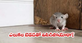 వరంగల్ మేయర్ పీఠం.. హస్తం పార్టీలో 'కుర్చీ'లాట.. గెలిచేది వారసులా? సీనియర్లా?