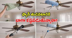 Fan Cleaning: ఫ్యాన్‌కు బాగా దుమ్ము పట్టిందా? నిచ్చెనతో పనిలేకుండా.. ఇలా ఈజీగా క్లీన్ చేయండి!
