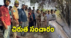గద్వాల జిల్లాలో చిరుత కలం కలం.. బిక్కు బిక్కు మంటున్న గ్రామస్తులు