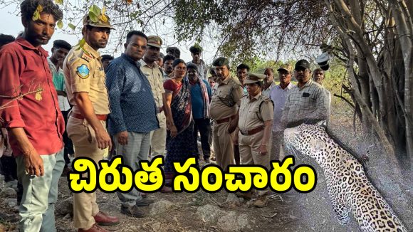 గద్వాల జిల్లాలో చిరుత కలం కలం.. బిక్కు బిక్కు మంటున్న గ్రామస్తులు