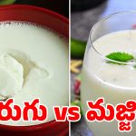 పెరుగు vs మజ్జిగ! ఎండల్లో ఏది బెస్ట్? ఈ నిజాలు తెలిస్తే అస్సలు వదలరు!