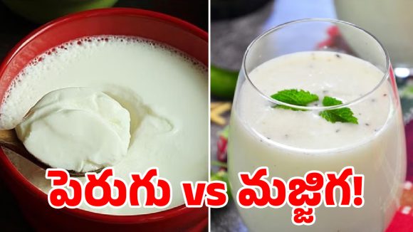 పెరుగు vs మజ్జిగ! ఎండల్లో ఏది బెస్ట్? ఈ నిజాలు తెలిస్తే అస్సలు వదలరు!
