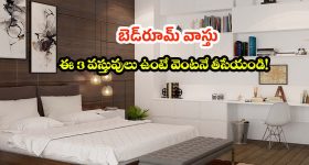 Shalini Pandey: బ్యాక్ లెస్ అందాలతో పిచ్చెక్కిస్తున్న అర్జున్ రెడ్డి బ్యూటీ..