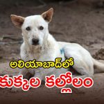 అలియాబాద్‌లో దారుణం.. చిన్నారిపై వీదికుక్కల దాడి కలకలం