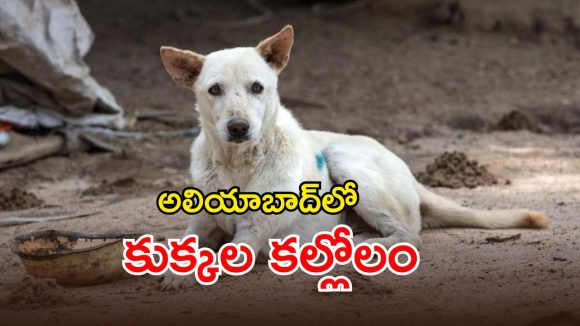 అలియాబాద్‌లో దారుణం.. చిన్నారిపై వీదికుక్కల దాడి కలకలం