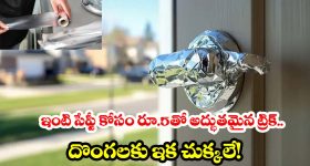 సోషల్ మీడియాను షేక్ చేస్తున్న హోం సేఫ్టీ ట్రిక్.. ఇది నిజంగా దొంగలను ఆపుతుందా?