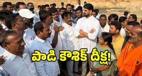 Hair Fall: మీకు ఈ 5 విటమిన్లు లోపం ఉంటే జుట్టు రాలిపోతుంది జాగ్రత్త