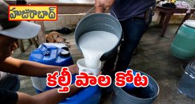 హుజూరాబాద్ పాల కోటలో వైట్ పాయిజన్ కలకలం.. తింటే మత్తు.. తాగితే నిద్ర..!