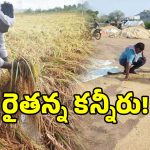 మట్టిలో కలిసిన రైతన్న బంగారం.. రాళ్ల వానకు రాలిపోయిన గింజలు