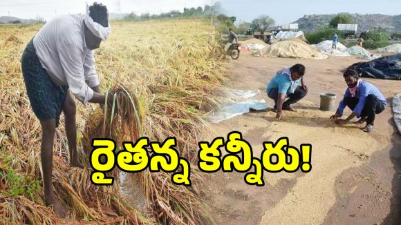 మట్టిలో కలిసిన రైతన్న బంగారం.. రాళ్ల వానకు రాలిపోయిన గింజలు