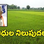రైతు కమీష‌న్‌పై అధికారుల కుట్ర.. 7 నెలలుగా ఉద్యోగులకు వేతనాలు బంద్..?