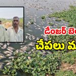 గుండ్లపోచంపల్లిలో విష విలయం.. వేల సంఖ్యలో చేపలు మృతి.. పట్టించుకోని అధికారులు