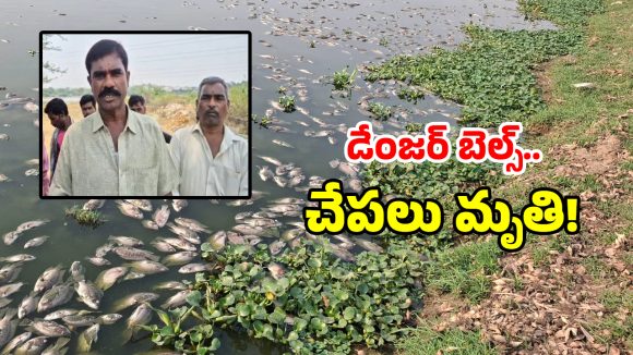 గుండ్లపోచంపల్లిలో విష విలయం.. వేల సంఖ్యలో చేపలు మృతి.. పట్టించుకోని అధికారులు