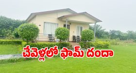 నిద్రలేమితో బాధపడుతున్నారా ? 5 నిమిషాల్లో నిద్రపోయే ఈ టెక్నిక్స్ ట్రై చేయండి