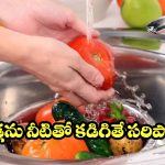 ఆర్గానిక్ పద్ధతిలో కూరగాయల శుద్ధి.. మీ కుటుంబ ఆరోగ్యానికి భరోసా