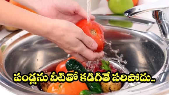 ఆర్గానిక్ పద్ధతిలో కూరగాయల శుద్ధి.. మీ కుటుంబ ఆరోగ్యానికి భరోసా