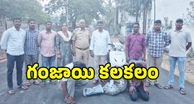 మల్లాపూర్ పారిశ్రామిక ప్రాంతంలో గంజాయి దందా కలకలం