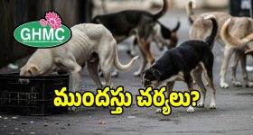 వీధి కుక్కల విషయంలో జీహెచ్ఎంసీ సంచలన నిర్ణయం