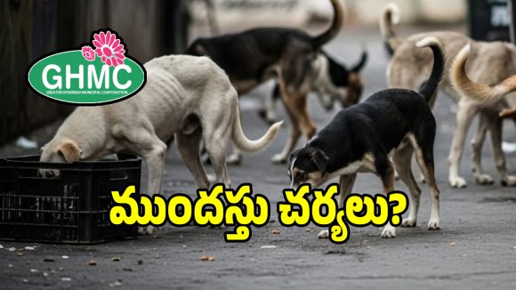 వీధి కుక్కల విషయంలో జీహెచ్ఎంసీ సంచలన నిర్ణయం