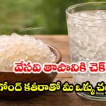 అద్భుతమైన హెల్త్ బెనిఫిట్స్.. ఎండాకాలంలో ఈ ‘ గోంద్ కతీరా’ అస్సలు మిస్ అవ్వకండి!