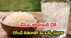 ప్రపంచంలో ఫస్ట్ ప్యాసింజర్ రైలు.. ఏ దేశంలో అందుబాటులోకి వచ్చిందో తెలుసా?