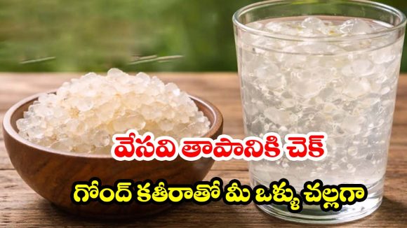 అద్భుతమైన హెల్త్ బెనిఫిట్స్.. ఎండాకాలంలో ఈ ‘ గోంద్ కతీరా’ అస్సలు మిస్ అవ్వకండి!