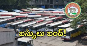 అక్కినేని మల్టీస్టారర్.. సంక్రాంతికి ‘బంగార్రాజు’ మ్యాజిక్ రిపీట్ అవుతుందా?