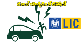 డబుల్ యాక్సిడెంట్ బెనిఫిట్ తో డబుల్ క్లెయిమ్.. ఎల్ఐసీ పాలసీలో ఈ రైడర్ గురించి తెలుసా?