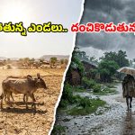 ఎండలతో సతమతం.. వానలతో ఉక్కిరిబిక్కిరి: తెలుగు రాష్ట్రాల్లో వింత వాతావరణం!