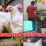 మాంసం ప్రియులకు షాక్.. తెలంగాణలో చికెన్ బంద్.. నేటి నుంచి మూతపడనున్న 50 వేల షాపులు!