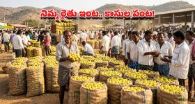 ఆకాశాన్నంటిన నిమ్మ ధర.. పదేళ్ల రికార్డును తిరగరాసిన పొదలకూరు మార్కెట్
