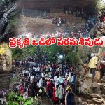 నల్లమల సిరి.. సాహస యాత్రికుల దరి: తెలంగాణ అమర్‌నాథ్ సలేశ్వరం జాతర నేటి నుంచే ప్రారంభం!